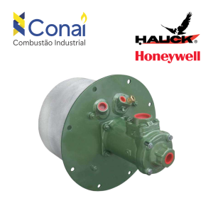 Queimador Hauck RKG